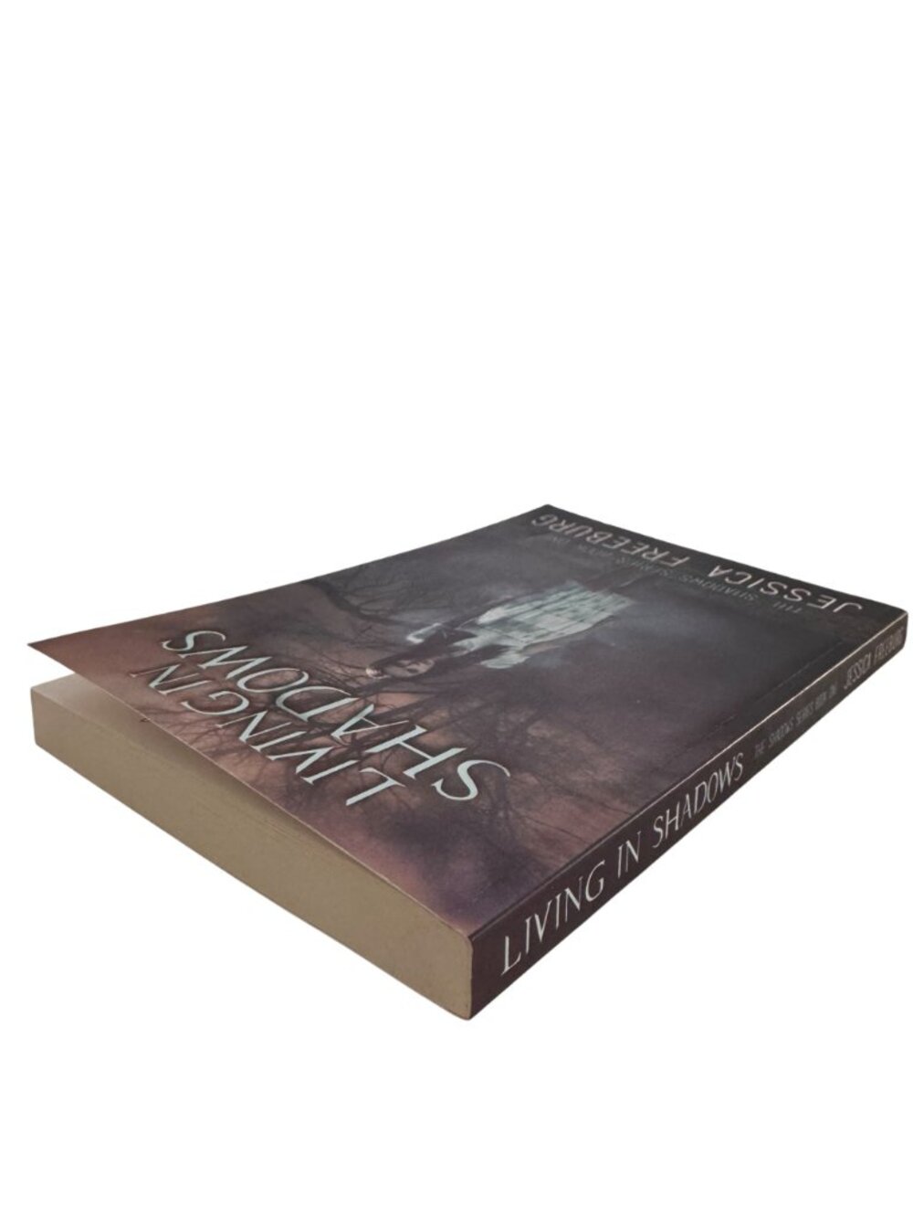 "Living In Shadows" By Jessica Freeburg Signed Paperback 2015 Clean Reads Novel - Picture 10 of 11
